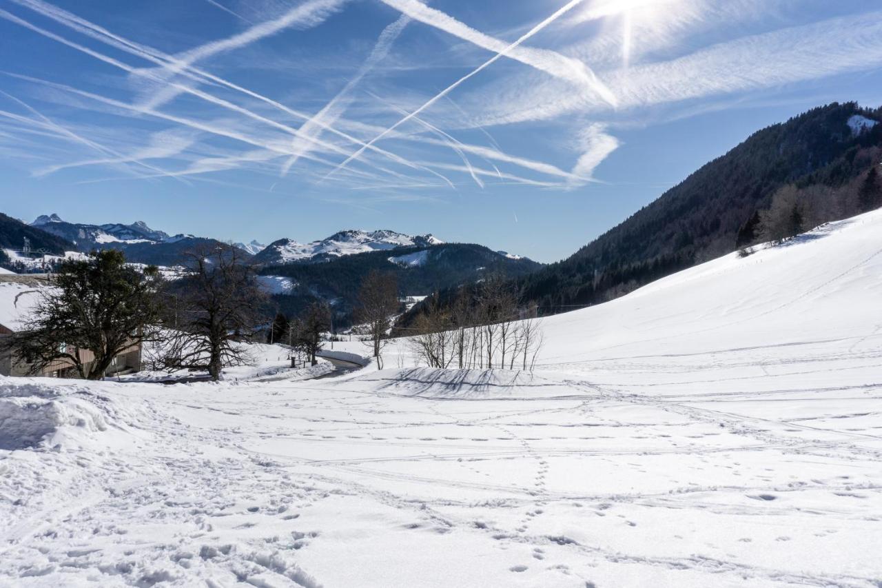 Village Club Les Cimes Du Leman-Neaclub Habère-Poche エクステリア 写真